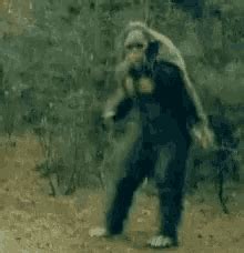 Sasquatch GIFs | Tenor