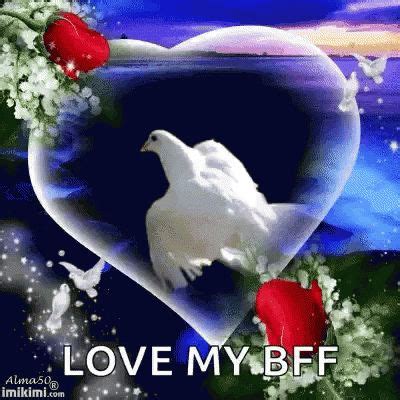 Dove Love GIF - Dove Love - Discover & Share GIFs | Love gif, I love my ...