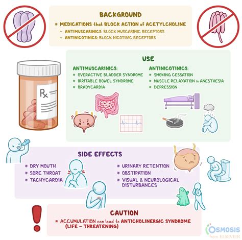 Anticholinergics: What Are They, How Do They Work | Osmosis