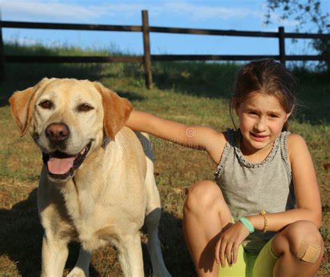 Labrador Retriever and a Little Girl Outdoor Stock Photo - Image of ...