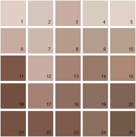 Light Mocha Brown Paint - Paint Color Ideas