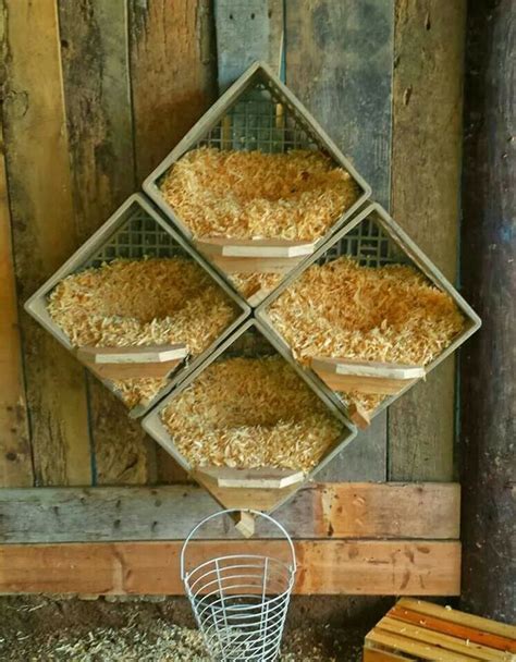 homemade bird boxes | Chicken nesting boxes, Portable chicken coop, Chicken diy