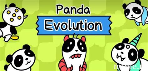 Panda Evolution [Взлом] на андроид скачать