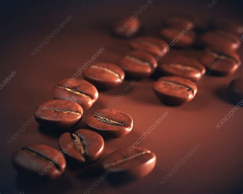 Coffee beans, close up - Stock Image - F019/6296 - Science Photo Library