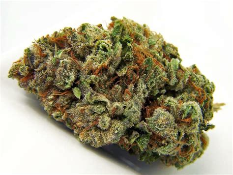 Gorilla Glue Strain Information & Reviews | Where's Weed