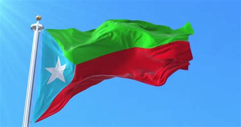 Flag of the Balochistan Liberation Army, Motion Graphics | VideoHive