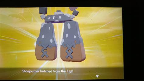 Shiny stonjourner after 5 eggs??? | Pokémon Sword and Shield ™ Amino