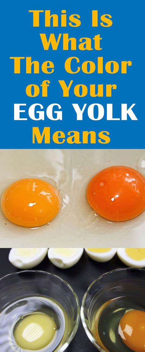 This Is What The Color of Your Egg Yolk Means