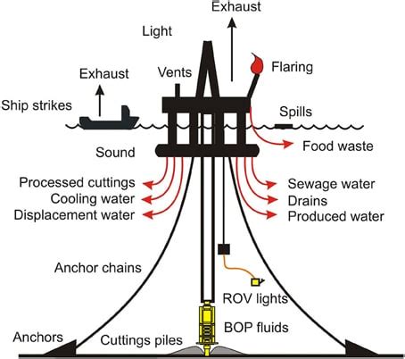 Update: the environmental effects of offshore drilling - Strategian Science