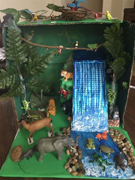 Image result for Rainforest Habitat Diorama Project | Rainforest project, Habitats projects ...