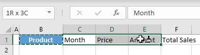 Use Format Painter for Multiple Cells in Excel & Google Sheets ...