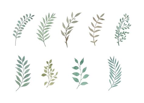 Free Vector | Hand drawn watercolor leaves art set