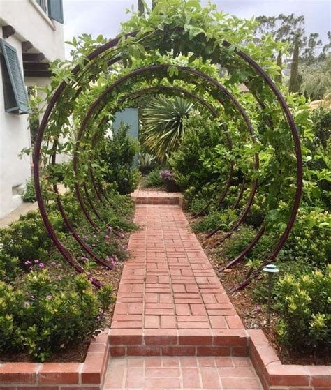 Review Of What To Plant On A Garden Arch Ideas