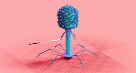 Bacteriophage t4 virus 3D - TurboSquid 1520557