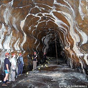 Jeju Volcanic Island and Lava Tubes, Korea, Republic of. Inscription in ...