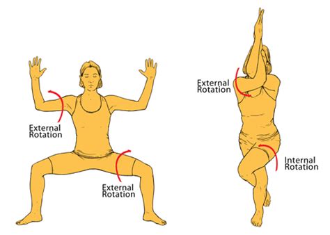 Internal Hip Rotation Standing Yoga Poses - yoga for strength and ...