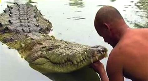 20 Years Ago He Rescued A Crocodile From Death: This Is How He Shows ...