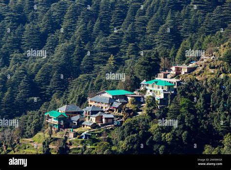 Houses in the lap of Himalayas, Dharamshala, Himachal Pradesh, India Stock Photo - Alamy