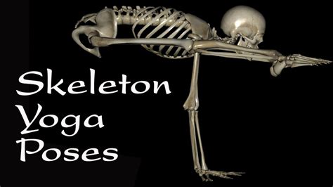 Skeleton Yoga Poses - YouTube