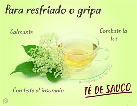 Té de Sauco Coffee Time, Tea Time, Home Remedies, Natural Remedies, Healthy Balance, Antiviral ...