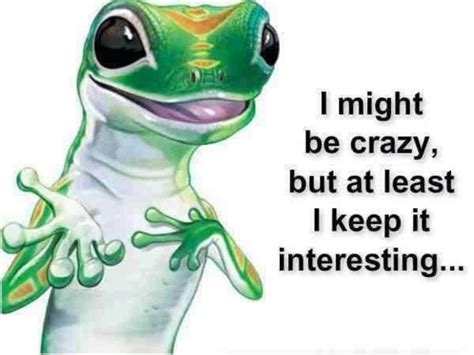 Geico gecko | Moments quotes, Crazy, Bones funny