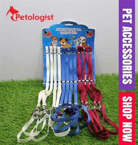 Cat collar with Leash - PB404A - Petologist Pakistan