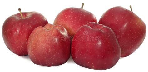 Five apples stock photo. Image of white, vegetarian, apple - 7194572