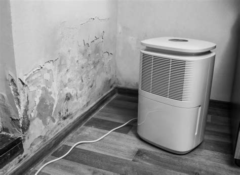 Will a Dehumidifier Get Rid Of Mold In Your Home?