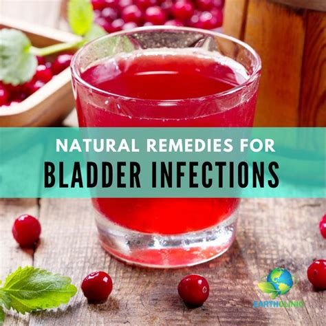 Natural Remedies for a Bladder Infection (UTI) | Bladder infection remedies, Natural remedies ...