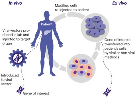 Bioengineering Will Change What it Means to be Human – Michael Megarit