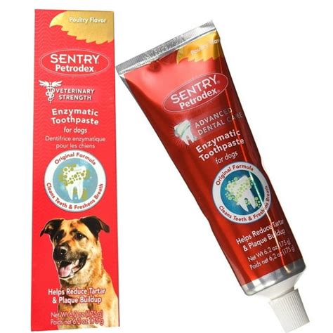 Enzymatic Toothpaste Dog Poultry Flavor, 6.2-Ounce - Walmart.com ...