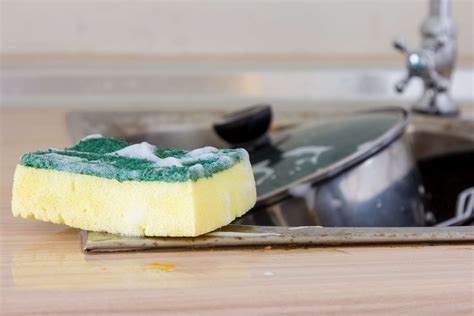 5 Types of Cleaning Sponges and Where They Work Best