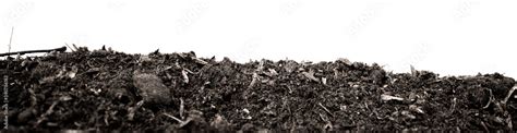 black earth on white background. natural soil texture. Pile heap of soil humus isolated on white ...