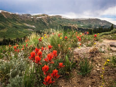 Deer Creek - Colorado Offroad Trail