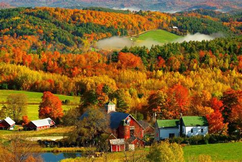 Looking down on the Northeast Kingdom in Fall Splendor. William Pead photo Autumn Trees, Autumn ...