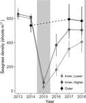 Frontiers | Seagrass Recovery Following Marine Heat Wave Influences Sediment Carbon Stocks ...