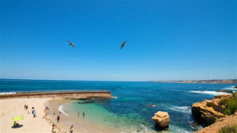 Things To Do In La Jolla and San Diego Area Beaches