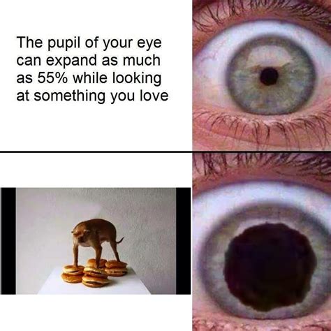 The eye. - Meme by Goldpk :) Memedroid