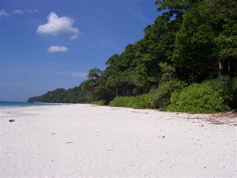 Radhanagar Beach2 - Andaman Beach Combing