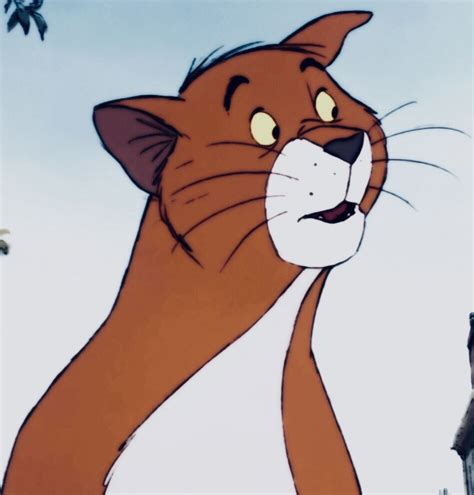 Thomas O’Malley Cat “The Aristocats” (1970) | Aristocats, Character art, Disney