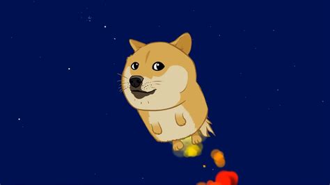 [100+] Doge Meme Wallpapers | Wallpapers.com