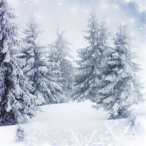 Aliexpress.com : Buy Gray Winter Photography Backdrops Snow World Pine Tree White Snowy Floor ...