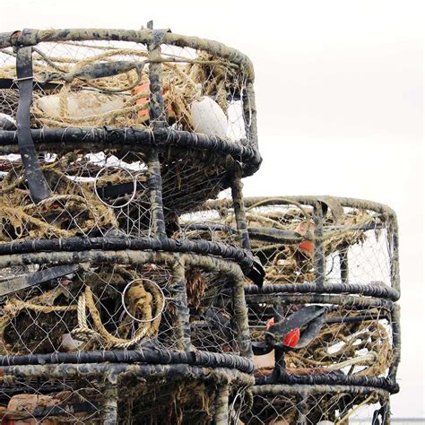 Annual Texas abandoned crab trap removal dates set for 2024 | The Sealy ...