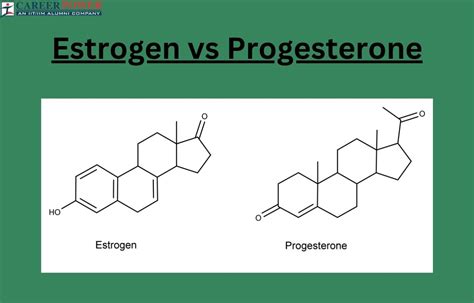 Estrogen vs Progesterone - Difference and Functions