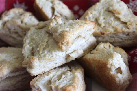 Vegan Breakfast Scones | Simple and Easy Recipe - That Vegan Nephew