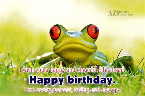 Birthday Wishes With Frog