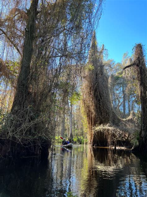 Kayaking Riverbend Park – Ultimate Guide with Kids - Salt Family Travels