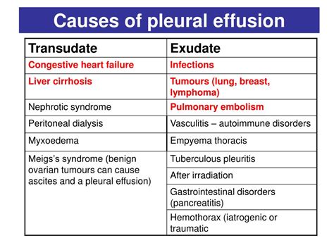 Pleural Effusion Types Causes Evaluation Management All You Need – NBKomputer