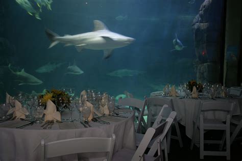 Virginia Beach Meeting Space & Conference Venue - Virginia Aquarium ...