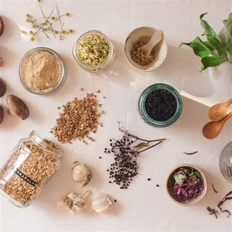 5 herbs to boost the immune system naturally - Ascension Kitchen